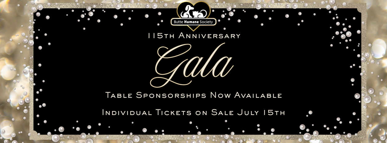 Butte Humane Society's 115th Anniversary Gala